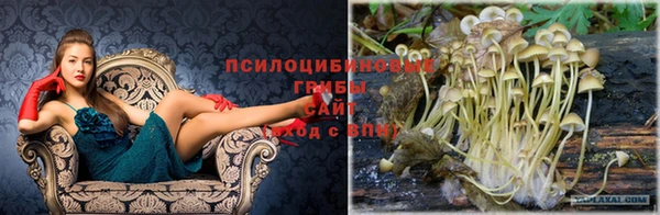 эйфоретик Белоозёрский
