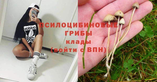 эйфоретик Белоозёрский