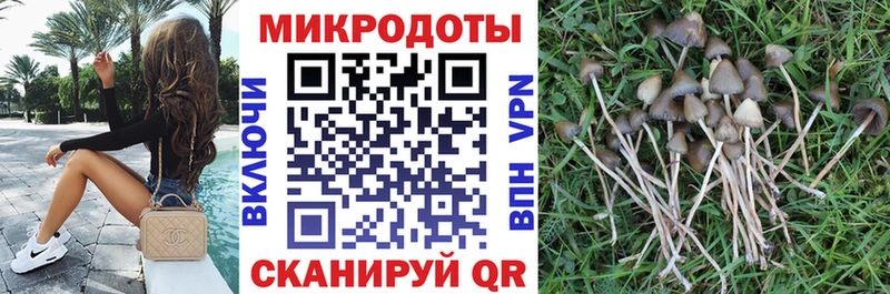 Псилоцибиновые грибы Magic Shrooms наркотики Гай